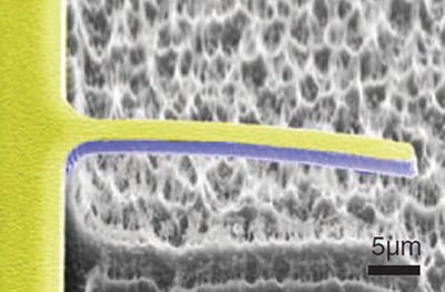 A PMN-PT piezoelectric cantilever PMN-PT piezoelectric cantilever